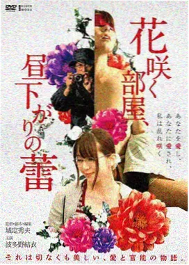 全网视频 肖申克的救赎 经典电影